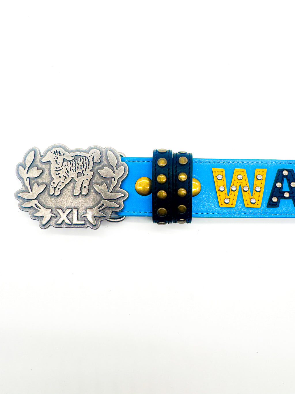 Jordan River Belt (BLUE)