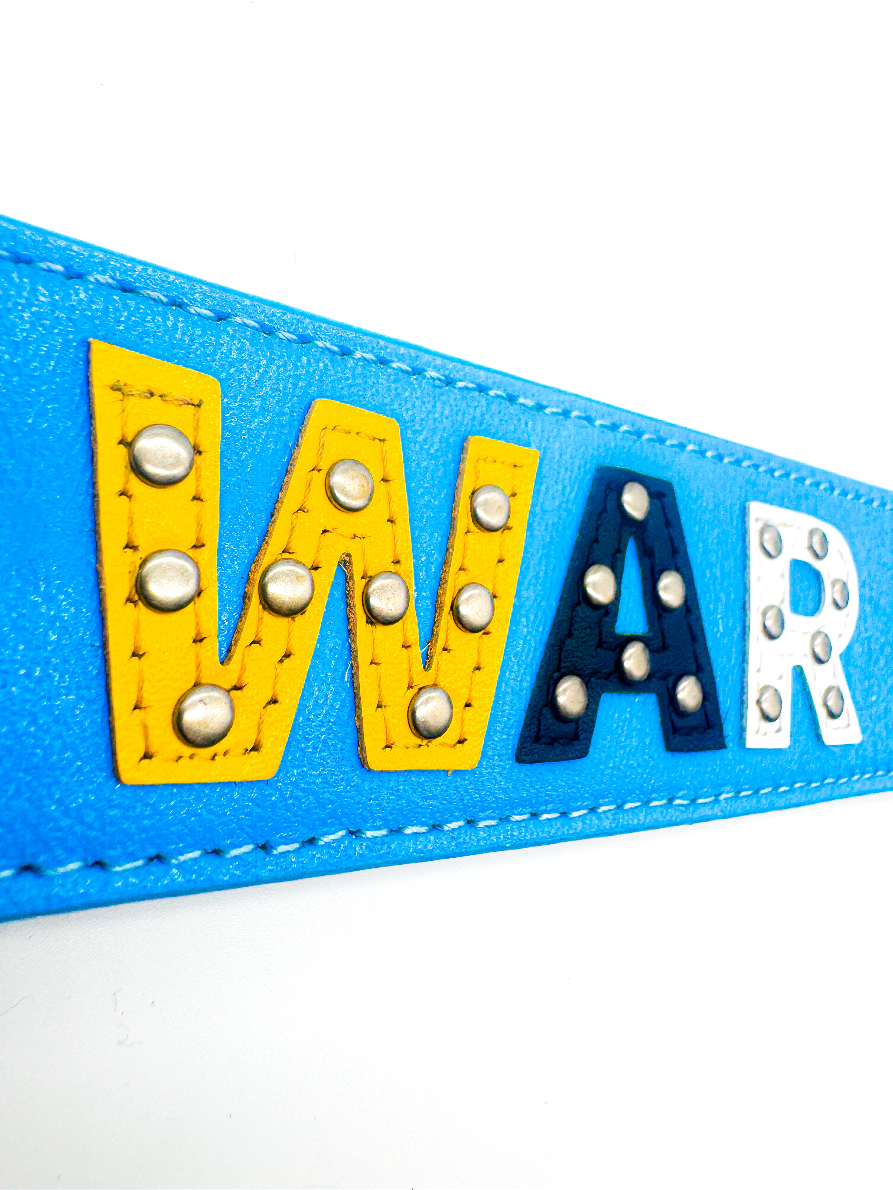 Jordan River Belt (BLUE)