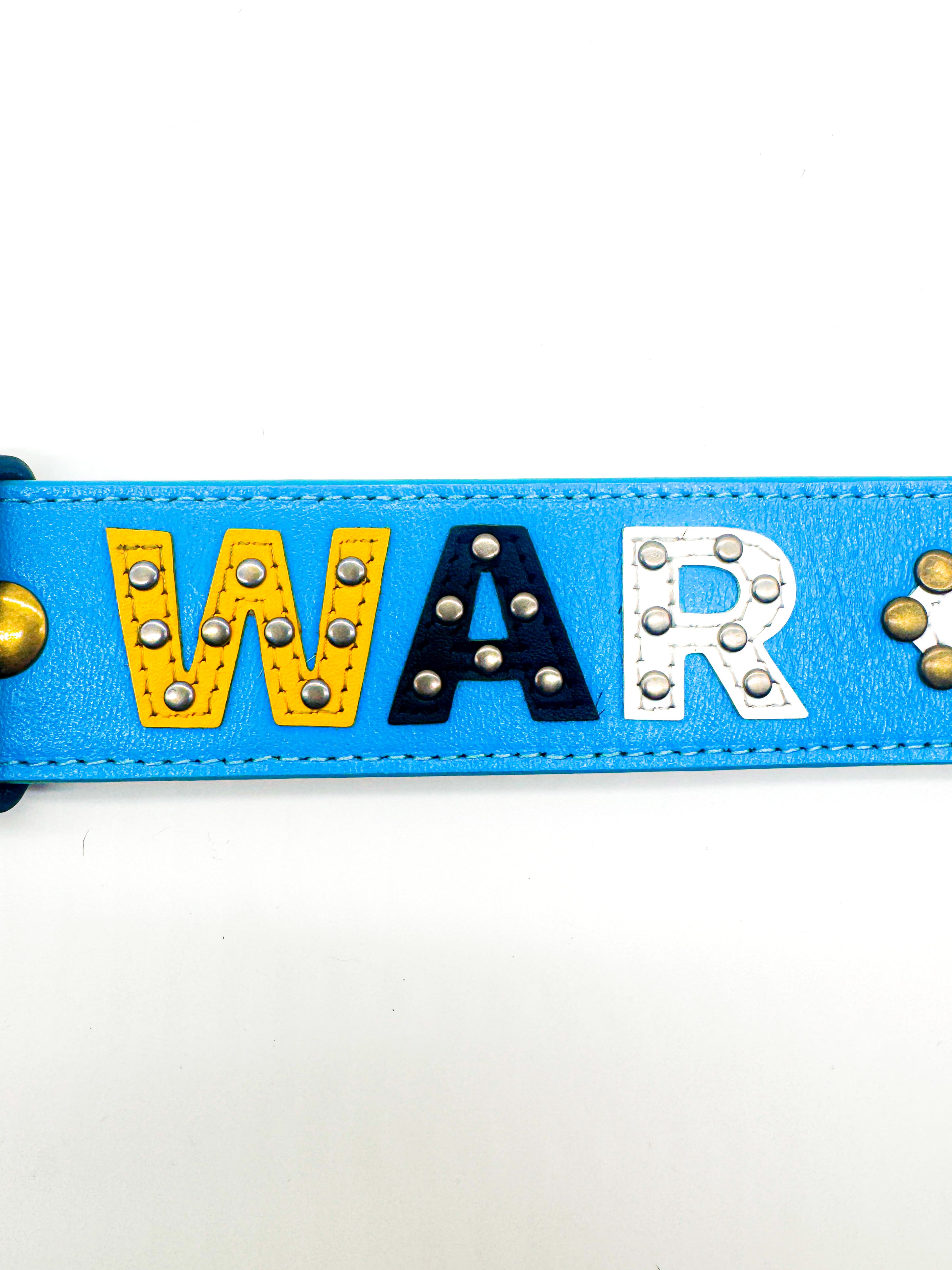 Jordan River Belt (BLUE)